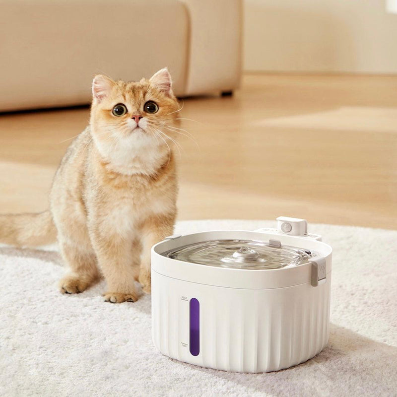 Wireless 2L Cat Water Fountain with Motion Sensor