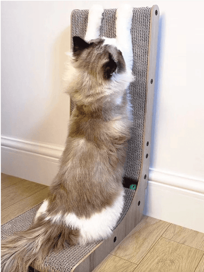 Enhance Your Cat's Well-being with Cat Scratcher Toys