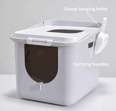 Top Entry vs. Traditional Litter Boxes: Which Is Right for You and Your Cat?