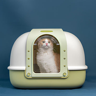 Large Cat Litter Box: The Key to a Happy Feline Friend