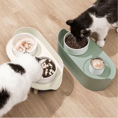 Raise the Bar in Pet Care with PetBesty's Elevated Bowls