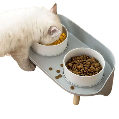 How Raised Dog Bowls Can Improve Your Furry Friend’s Digestion and Well-Being