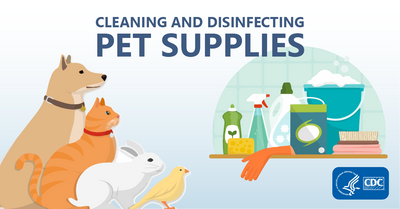 The Importance of Pet Disinfectants in Ensuring a Healthy Environment