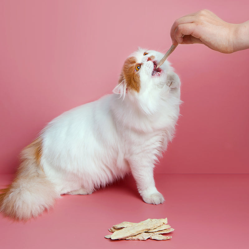 Pet Choice Freeze-Dried Duck Breast Cat Food Dog Treat