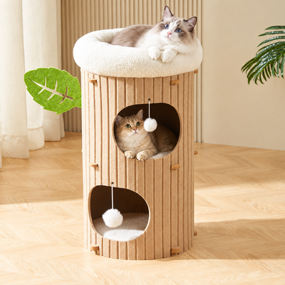 Pet Toys for Play Time