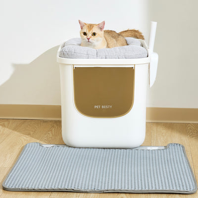 Cat Litter Box & Accessory