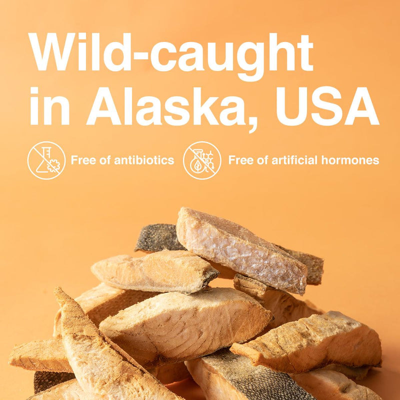 Pet Choice Freeze-Dried Salmon Cat Food Dog Treat