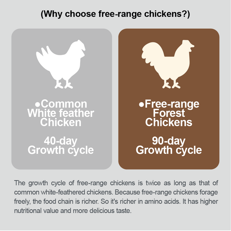 Cator Free-range Chicken 7-Day Canned Cat Food, 7 Flavours, 80g x 7
