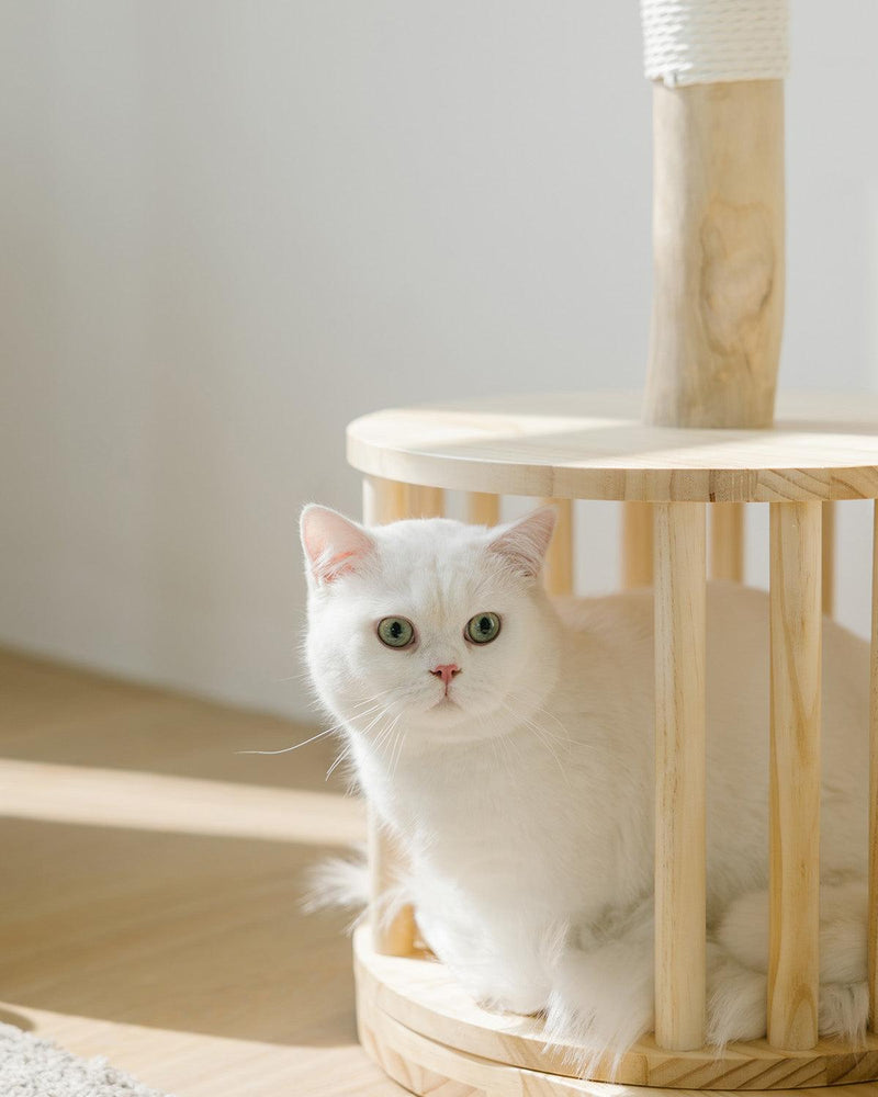 Premium Natural Wood Cat Climbing Tower with Spacious Wicker Nest