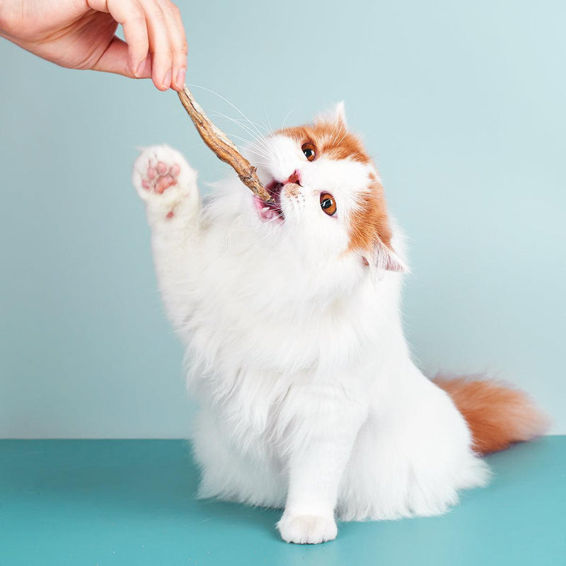 Pet Choice Freeze-Dried Capelin Cat Food Dog Treat - Whole Fish