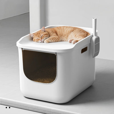 Cat Litter Box & Accessory