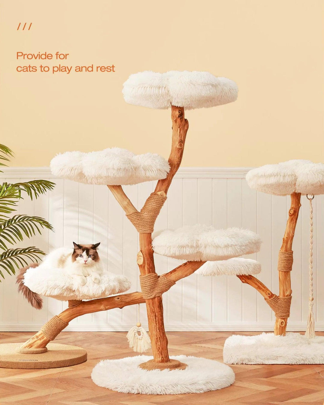 Premium Solid Wood Cat Tree, Natural Fruitwood – PETBESTY