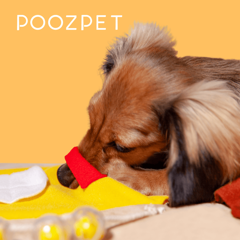 Happy Meal Snuffle Mat Toy for Dogs
