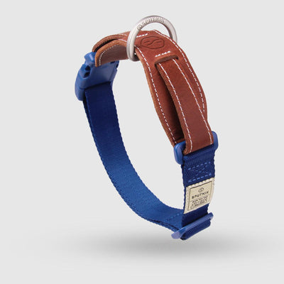 Explore| Pet Collar Blue