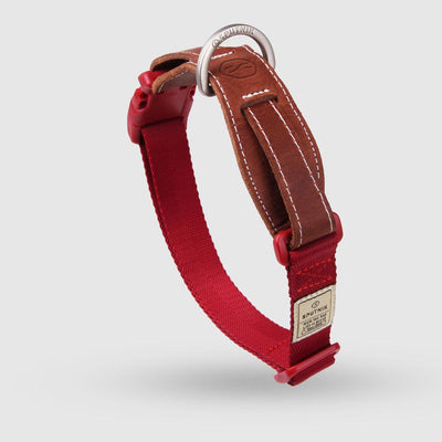 Explore| Pet Collar Red