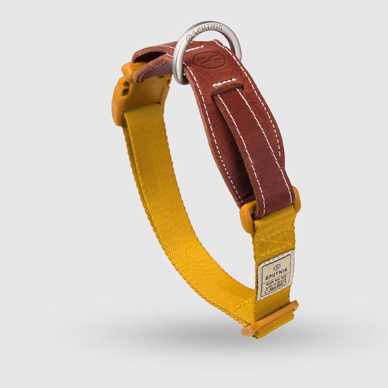Explore| Pet Collar Yellow