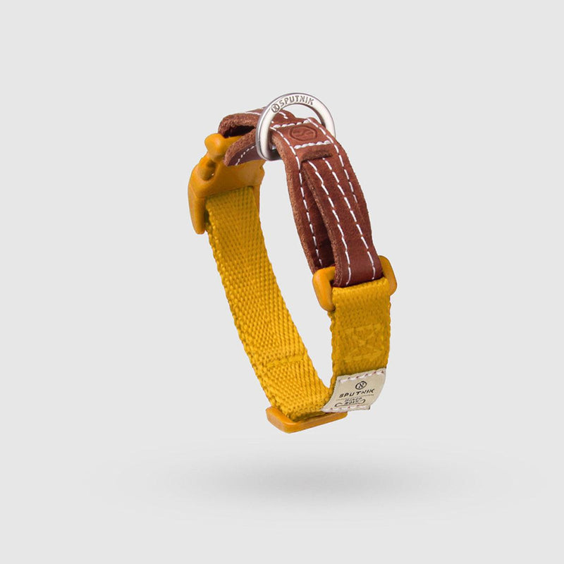 Explore| Pet Collar Yellow