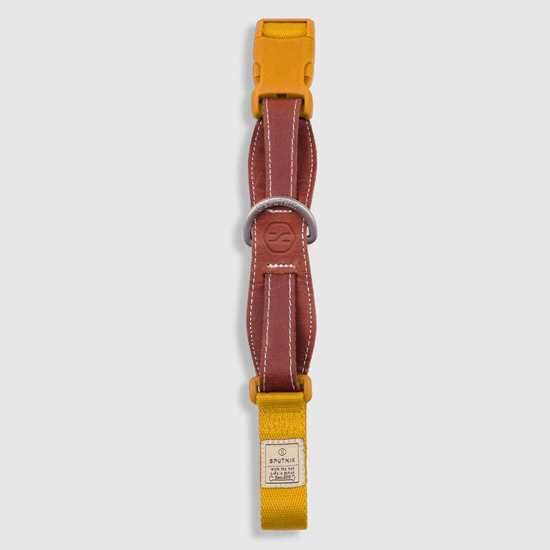 Explore| Pet Collar Yellow