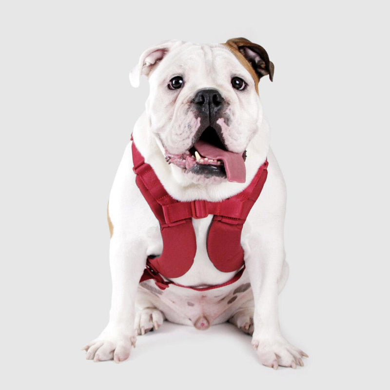 Explore| Adjustable Harness Red