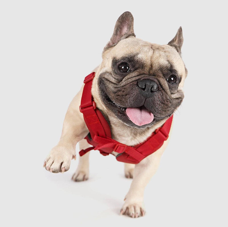 Explore| Adjustable Harness Red