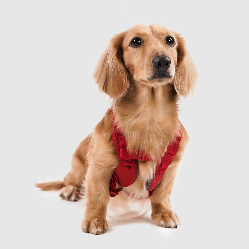 Explore| Adjustable Harness Red