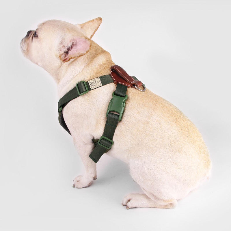 Explore| Adjustable Harness Green