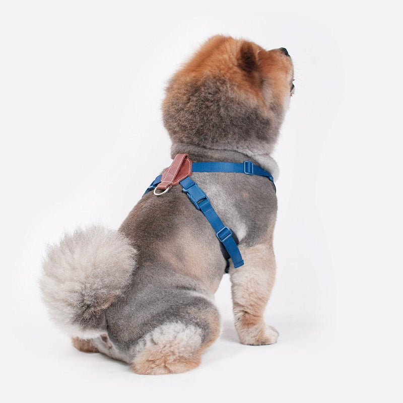 Explore| Adjustable Harness Navy Blue