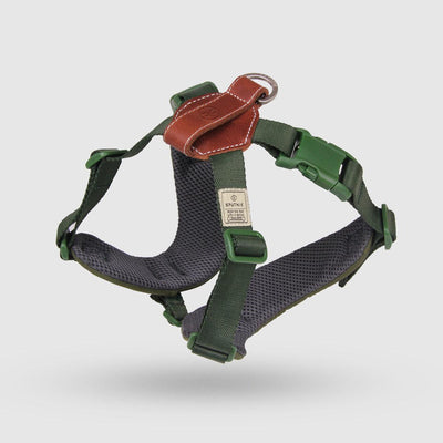 Explore| Adjustable Harness Green