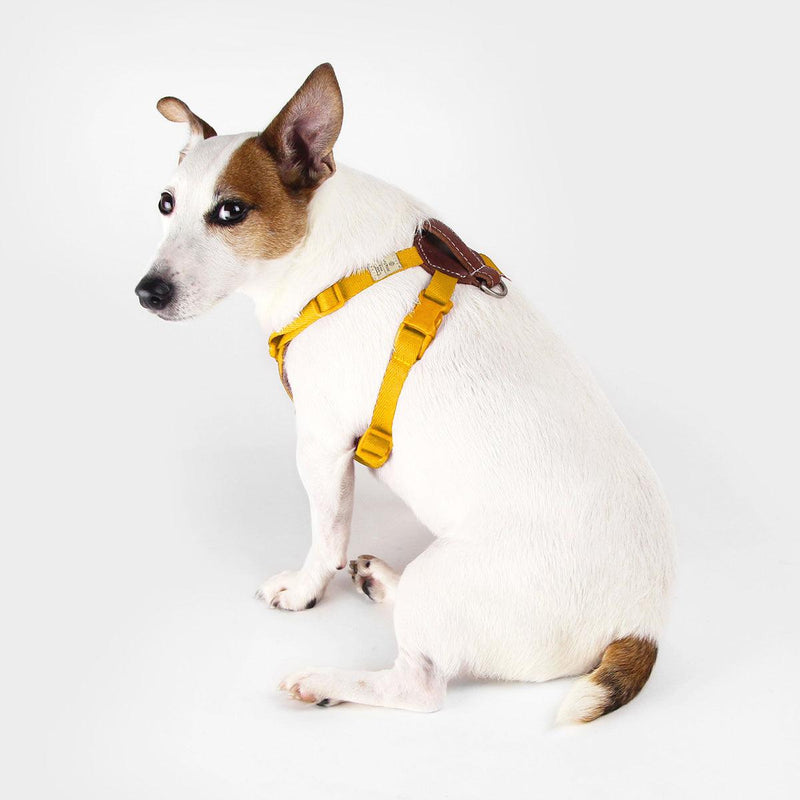 Explore| Adjustable Harness Yellow