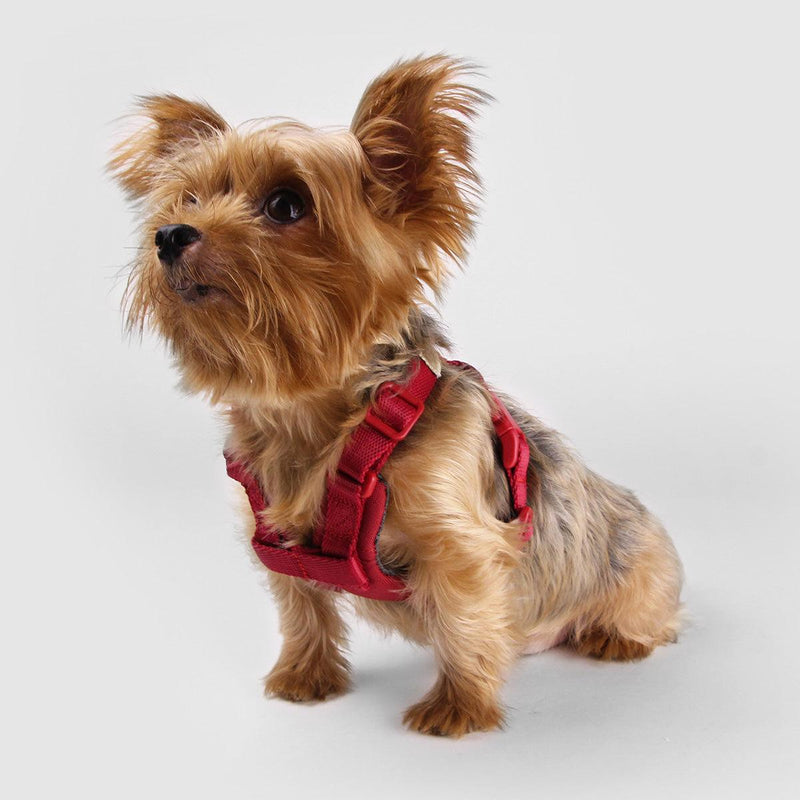 Explore| Adjustable Harness Red