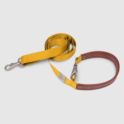 Multi-Function Leash Yellow