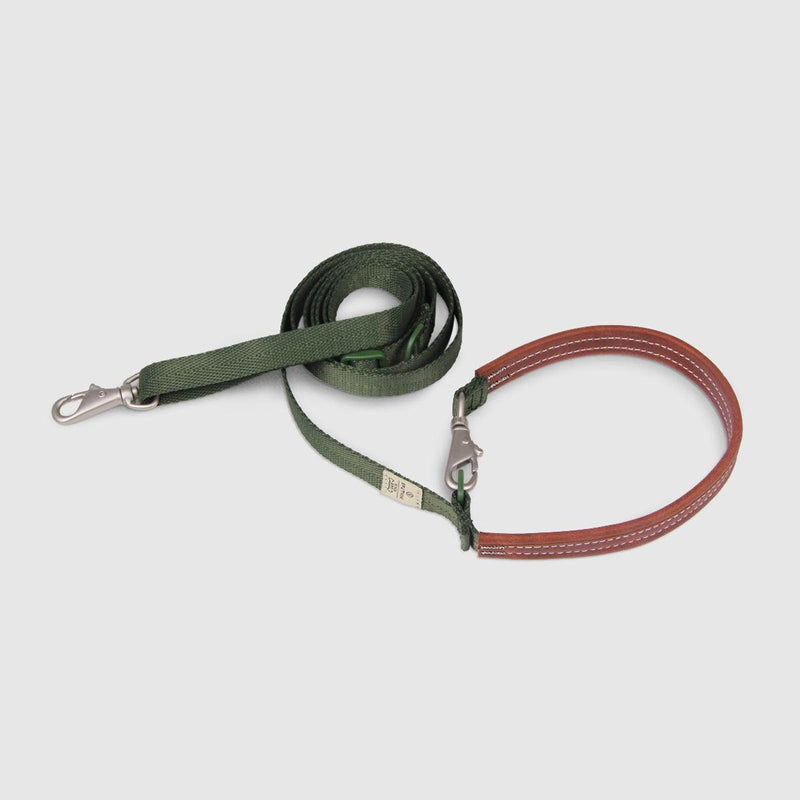 Multi-Function Leash Green
