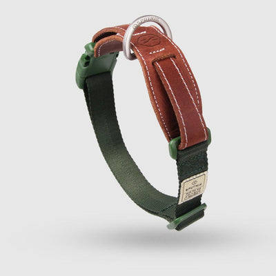 Explore| Pet Collar Green