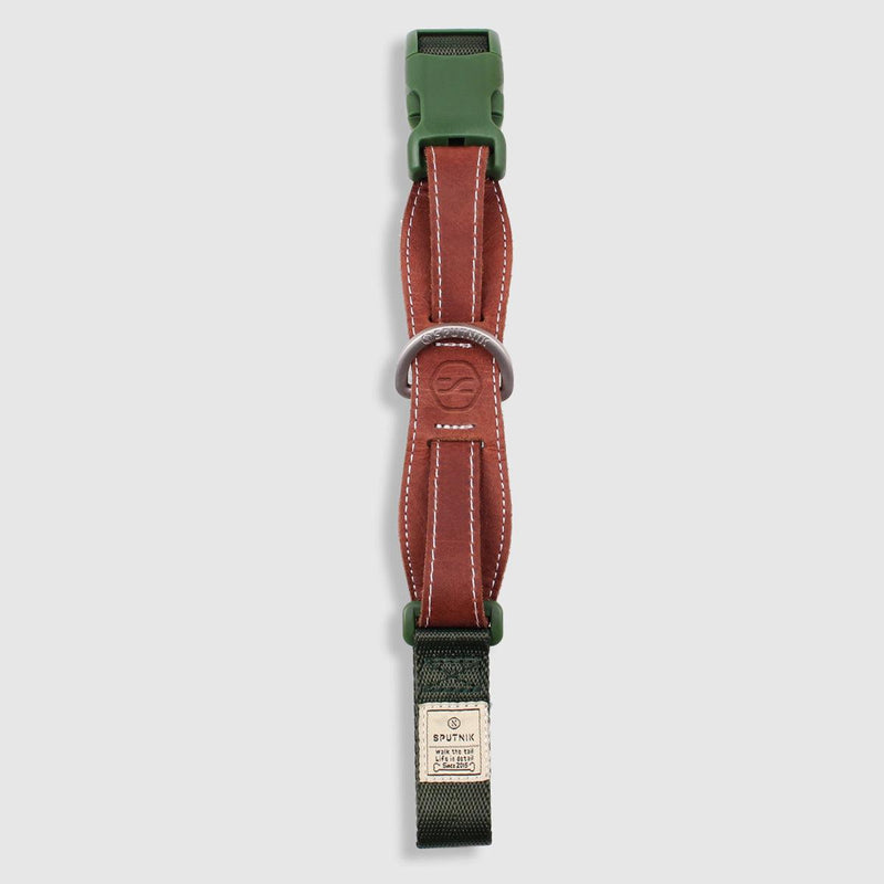 Explore| Pet Collar Green