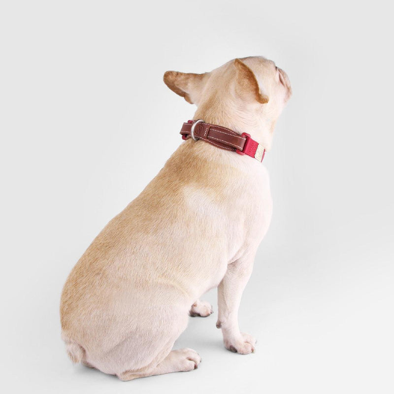 Explore| Pet Collar Red