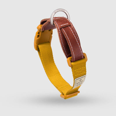 Explore| Pet Collar Yellow