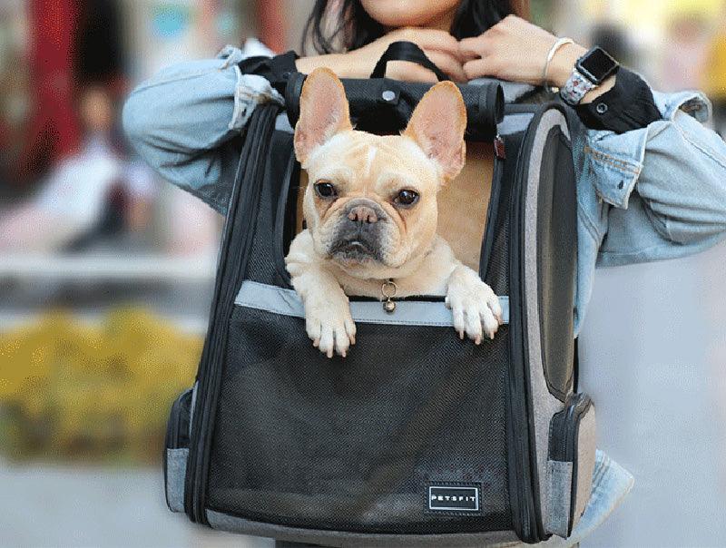 Expandable Large Pet Backpack Carrier with Dual Access and Good Ventilation