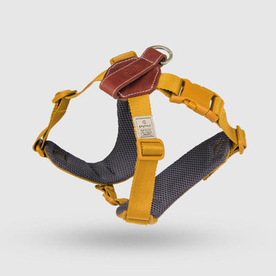 Explore| Adjustable Harness Yellow