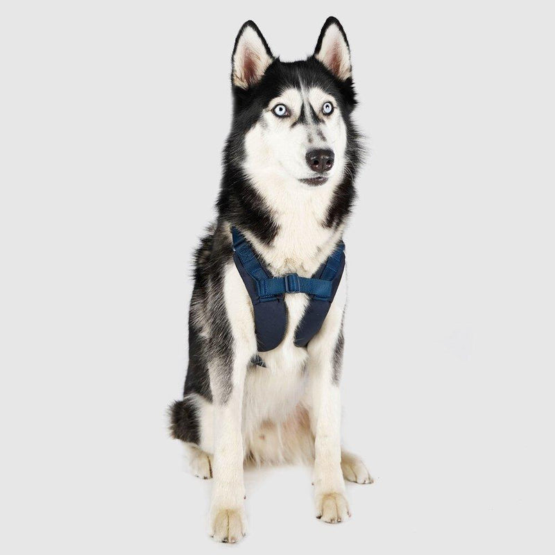 Explore| Adjustable Harness Navy Blue
