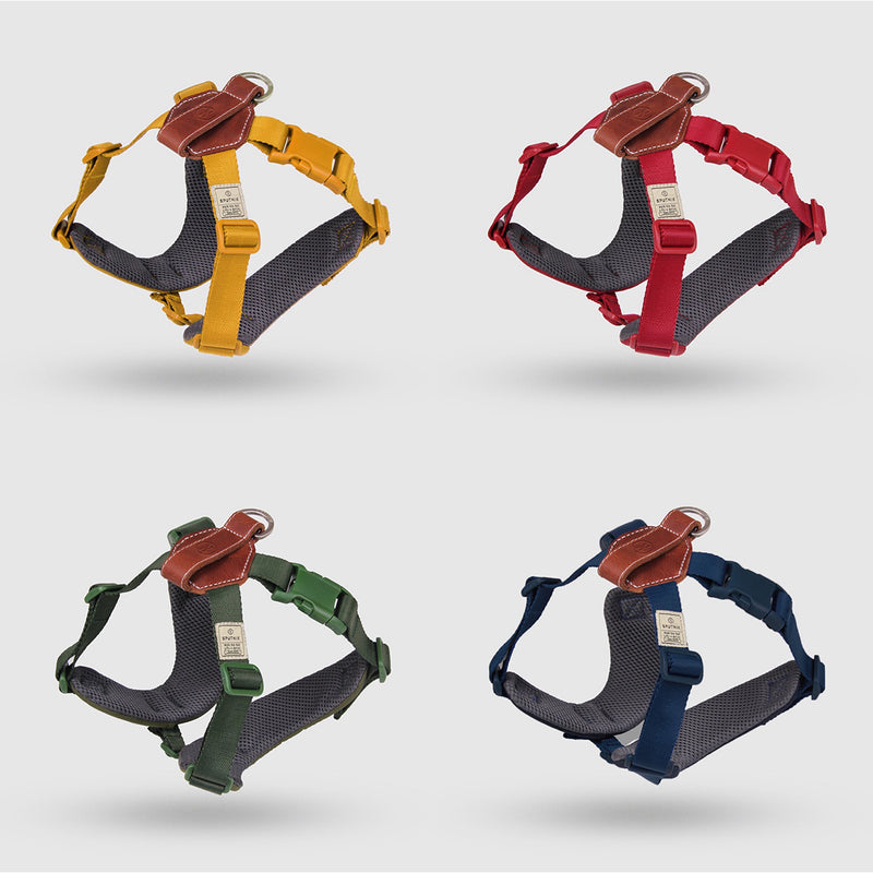 Explore| Adjustable Harness Red
