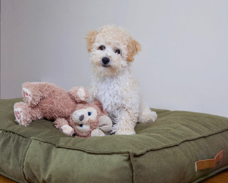 Pet Soft Mattress Removable Cover Mat