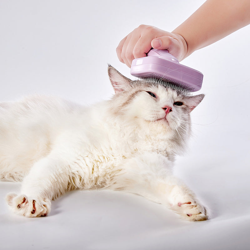Self-Cleaning Pet Slicker Brush