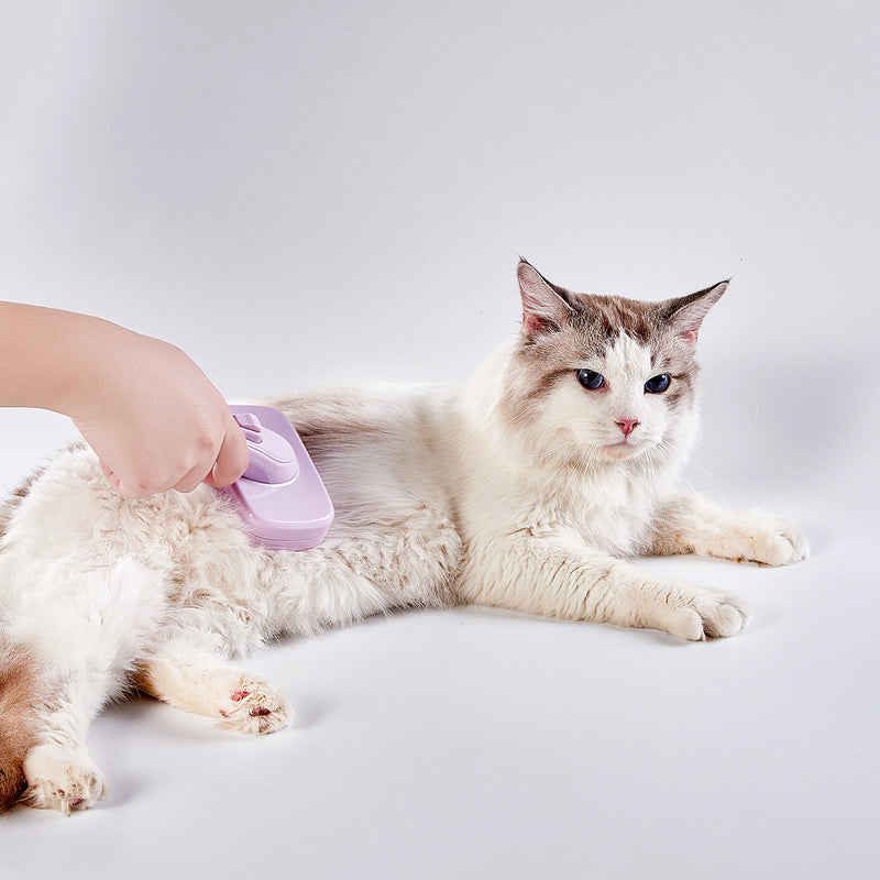 Self-Cleaning Pet Slicker Brush