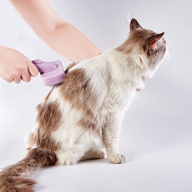 Self-Cleaning Pet Slicker Brush