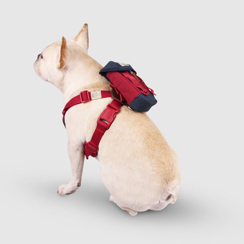 Multi-Function Dog Bag | Pet Self Carrier Backpack | Poop Bag Dispenser