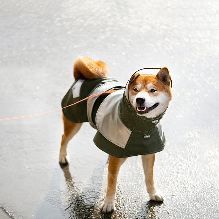 Waterproof Lightweight Hooded Dog Raincoat - Reflective Design