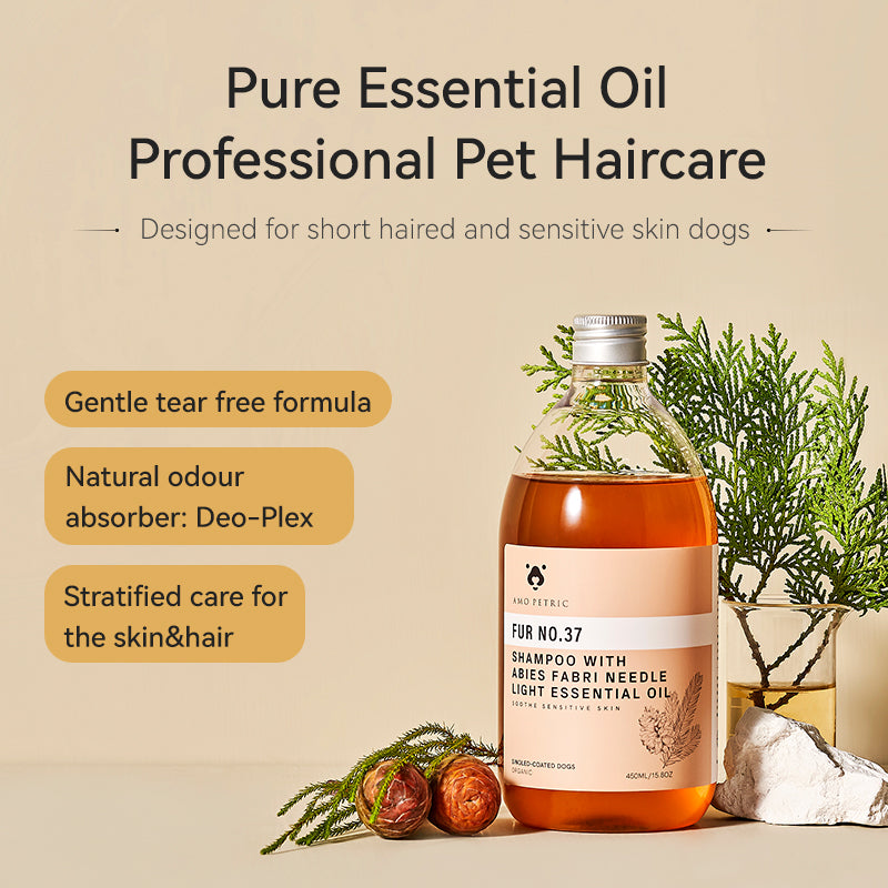 Dog Shampoo with Abies Fabri Needle Light Essential Oil (Short-Haired Dogs) No. 37