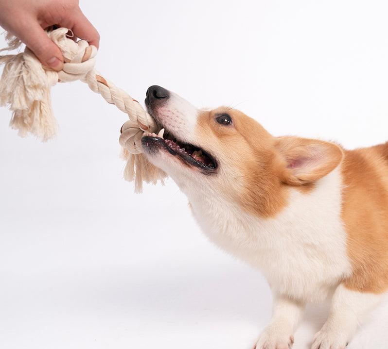 Leather Knot Rope Toy For Dogs