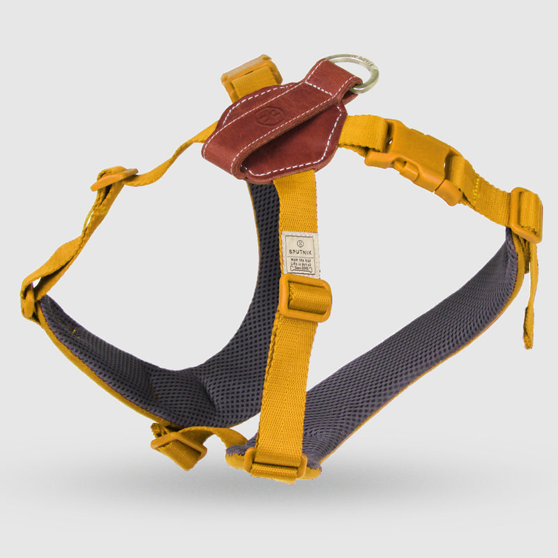 Explore| Adjustable Harness Yellow