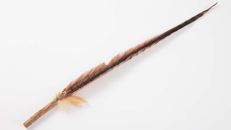 170CM Super Long Cat Teaser Wand with Silvervine & Natural Pheasant Feathers - PETBESTY